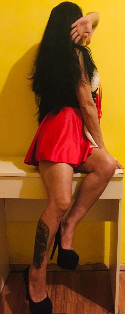 Escortă Gay Pufoasa Ta din Timișoara