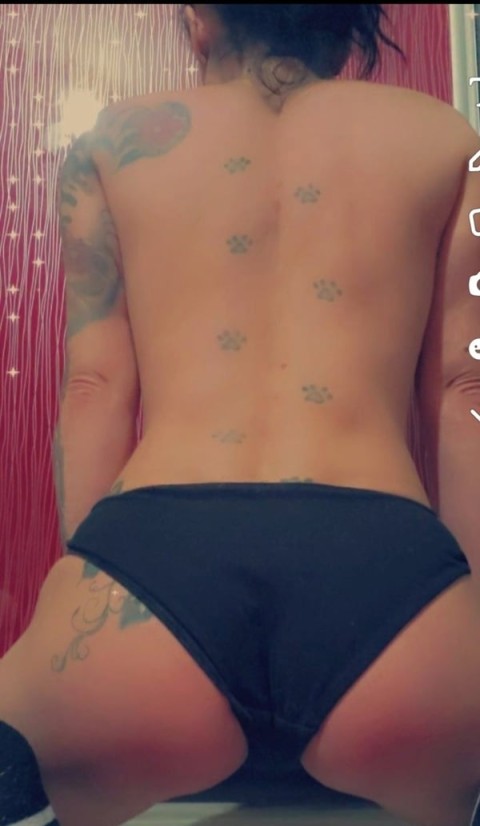 Temperament Pasional în Sibiu